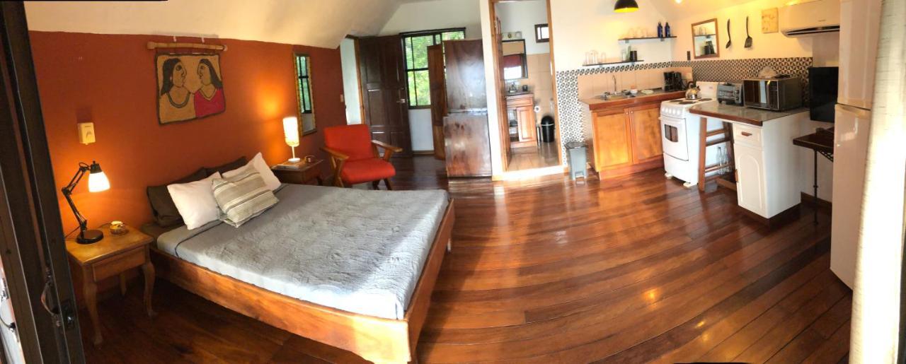 Cockatoo Studio Apartments Manuel Antonio Exteriör bild